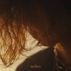 mehro-dd-feature-pic-rev