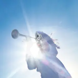 geese-dd-feature-pic