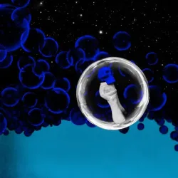 mkcd665mkgwhol6apwvvxibzhayaxicc_profile