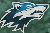 AI-generated image Winter scene minnesota timberwolves LOGO nba finals champions 2024 (This content was generated by an Artificial Intelligence (AI) system)