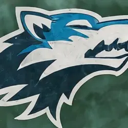 AI-generated image Winter scene minnesota timberwolves LOGO nba finals champions 2024 (This content was generated by an Artificial Intelligence (AI) system)