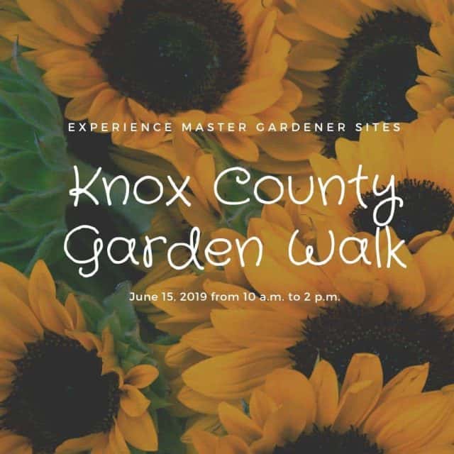 Garden Walk