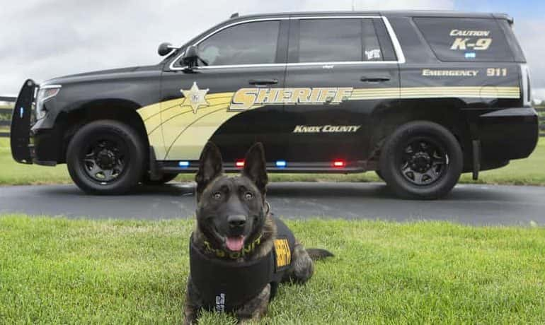 Sheriff's Department K9 is gifted body armor. | WGIL 93.7 FM & 1400 AM