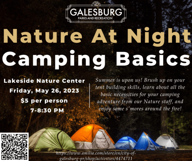Nature at Night: Camping Basics