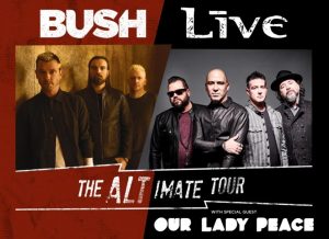bush-and-life-at-gsr