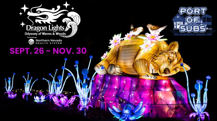 dragon-lights-revised-2