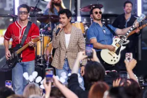 music-jonas-brothers-2