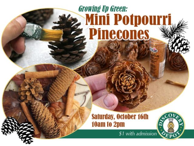 Mini Potpourri Pinecones