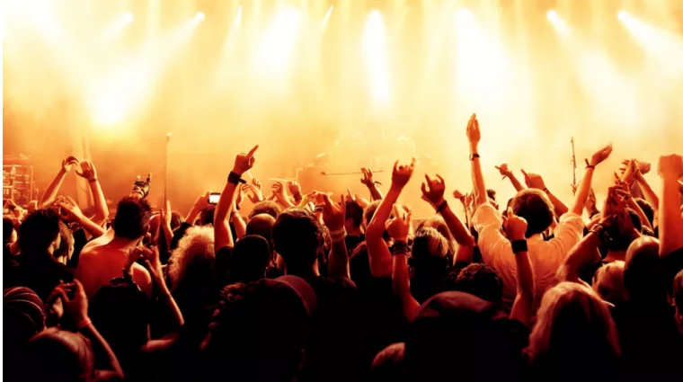 silhouettes of concert crowd in front of bright stage lights