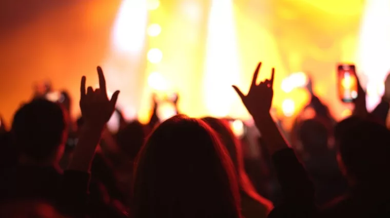 rock n roll gesture. Heavy metal hand up sign. music concert. crowd at concert