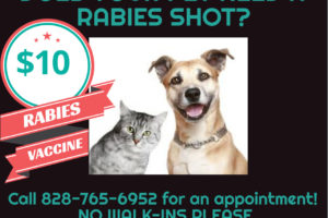 cheap rabies shots near me
