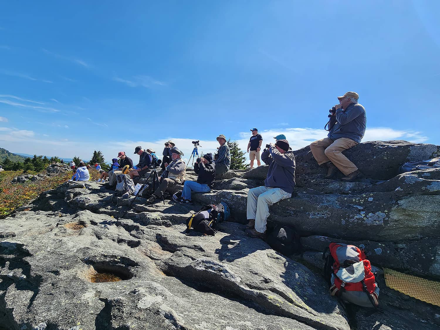 Results From Grandfather Mountain's Annual Hawk Watch WKYK, WTOE