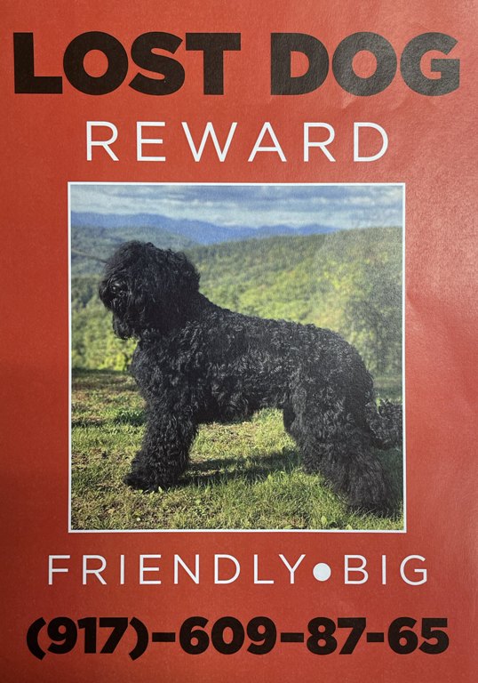 Lost sales service dog