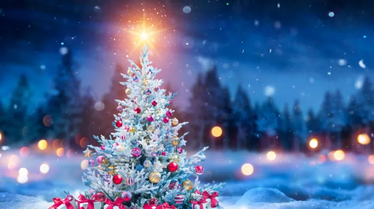 Christmas Tree And Gift Boxes On Snow In Night With Shiny Star and Forest - Winter Abstract Landscape