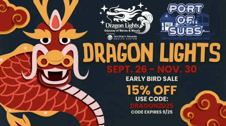 dragon-lights-2