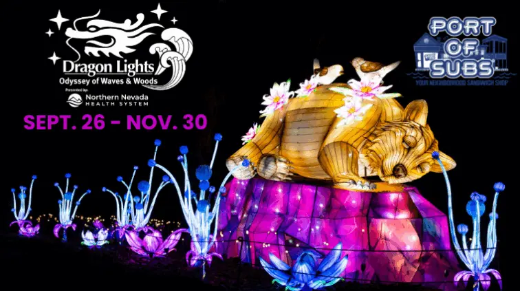dragon-lights-revised-2