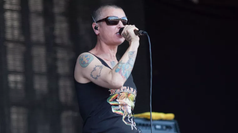 shutterstock_202504714518688