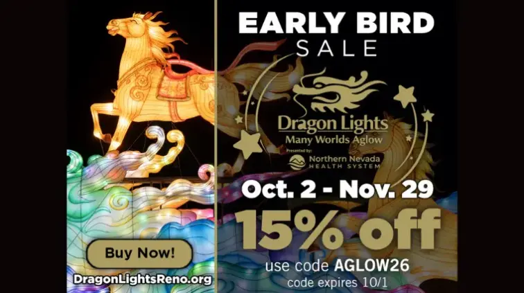 dragon-lights-26-png