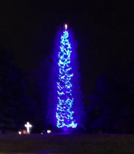 big blue tree