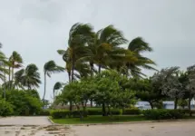 City of Miami Beach^ hurricane Irma. Florida. USA.