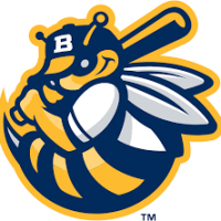 burlington-bees