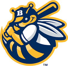 Burlington Bees game canceled - Vimarsana News