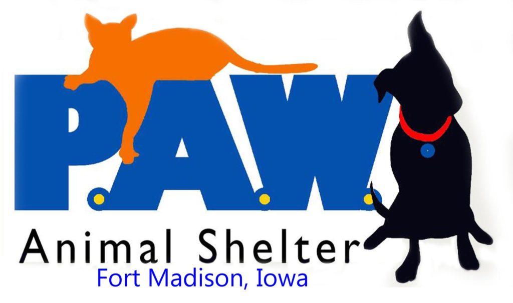P.A.W. animal shelter hopes to break ground on new shelter this summer