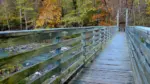 Horizontal perspective shot of suspension walking bridge over stream at Devil's Den State Park in Arkansas.