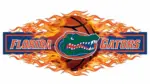 Florida Gators basketball logo with basketball and flames and put them in a border in a row