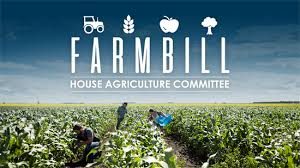 Hinson bullish Senate will keep her ‘Save Our Bacon Act’ in Farm Bill