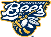 burlington_bees3