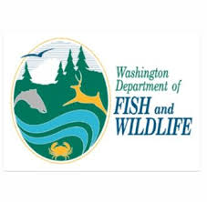 washington-department-of-fish-and-wildlife