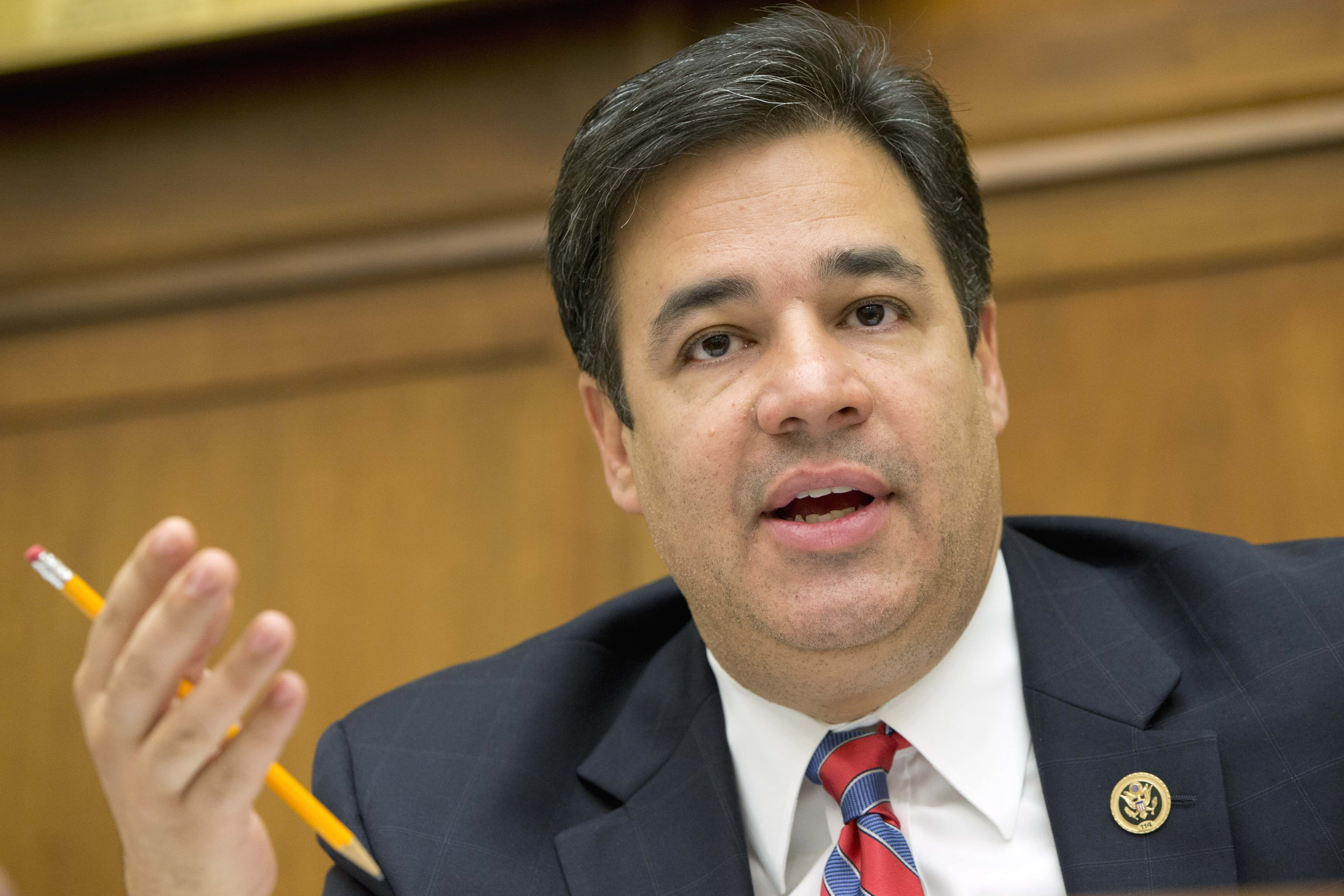 raul-labrador