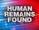 human-remains-found
