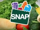 snap-food-stamps