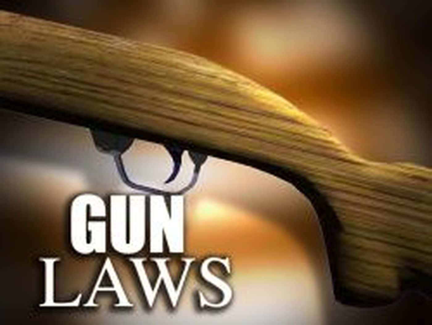 gun-laws