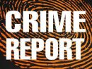 crime-report