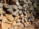 firewood