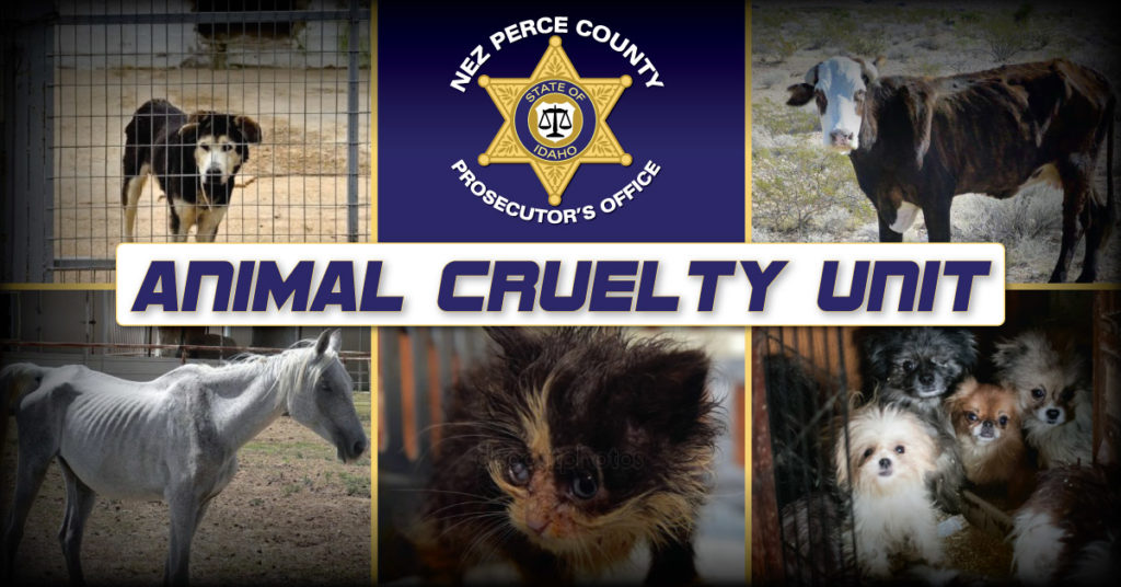 AUDIO: NP Animal Cruelty Unit starts pet foster program for domestic abuse victims - Vimarsana News