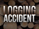 logging-accident