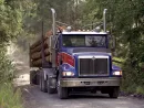 log-truck