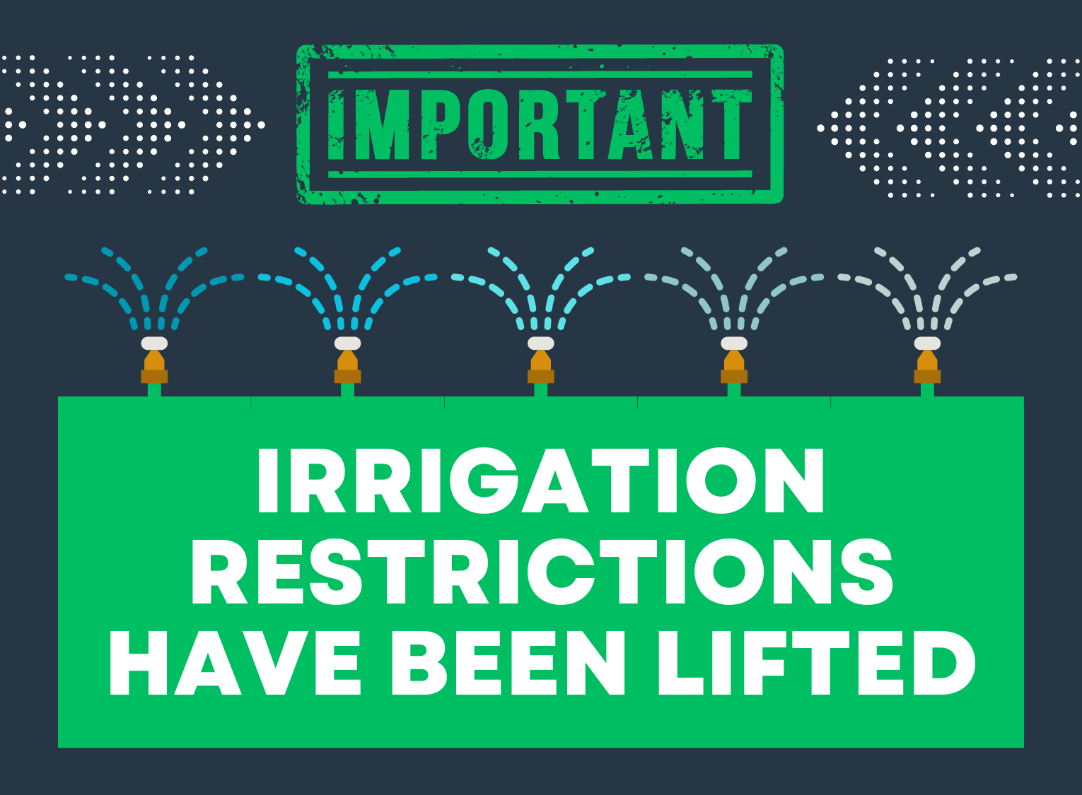 website-and-social-media-image