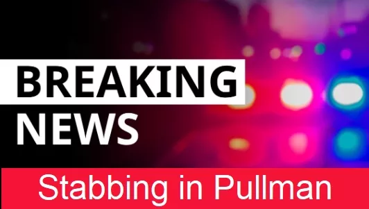 California Woman Arrested For Alleged Stabbings in Pullman | KOZE