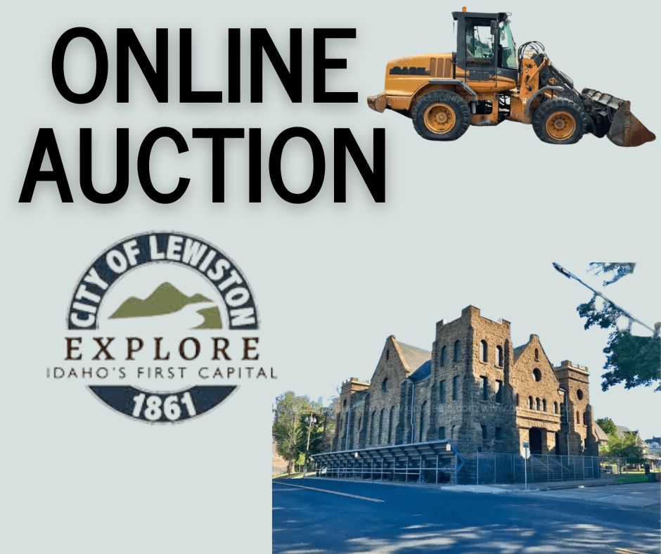 online-auction