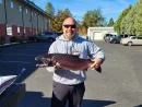hosking-2023-coho-salmon