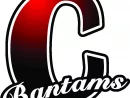 clarkston-bantams-sports-logo