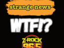 strange-news