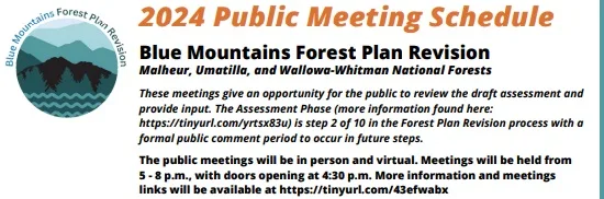 bluemtsforests030724b