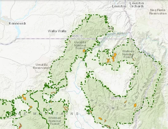 wwnfprescribedburning040124b