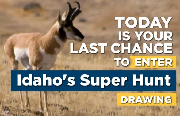 idfgsuperhunt053024